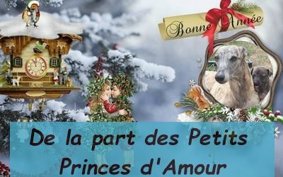 Des Petits Princes D'amour - Bonne Année 2023