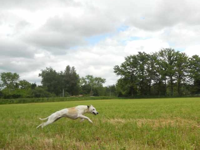 Glamour (dite tips ;-) ) Des Petits Princes D'amour